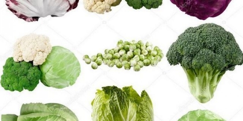 Kako hraniti kupus nakon sadnje u zemlju